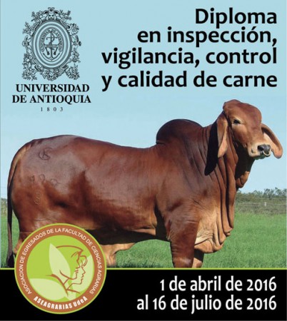 Diploma en inspección, vigilancia, control y calidad de carne